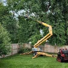 Artificial Turf Installation in Mission, OR
