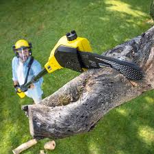 Best Weed Control  in Mission, OR