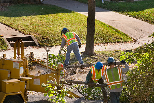 Best Lawn Maintenance Plans  in Mission, OR