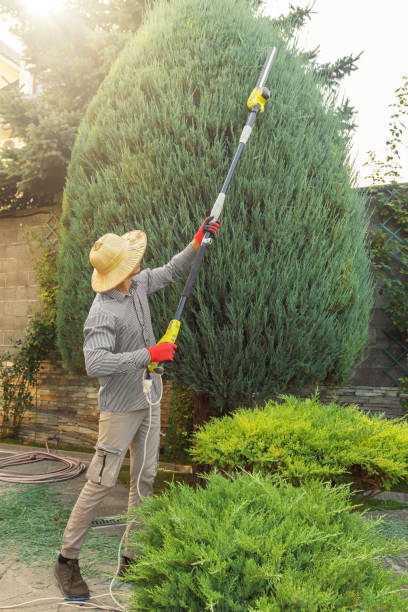 Best Landscape Design and Installation  in Mission, OR